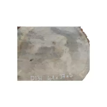 Plaster Dębowy 41x37x5cm Dąb