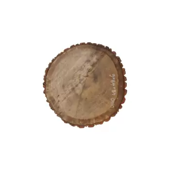 Plaster Dębowy 48x48x6cm Dąb