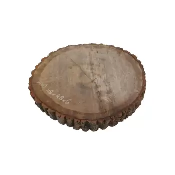 Plaster Dębowy 48x48x6cm Dąb