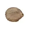 Plaster Dębowy 48x47x6cm Dąb