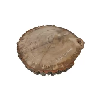 Plaster Dębowy 48x47x6cm Dąb