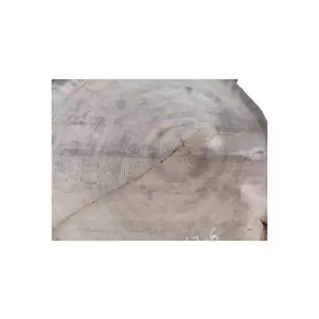 Plaster Dębowy 48x47x6cm Dąb