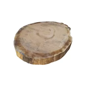 Plaster Dębowy 47x43x6cm Dąb