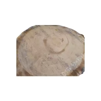 Plaster Dębowy 47x43x6cm Dąb