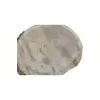 Plaster Dębowy 45x41x6cm Dąb