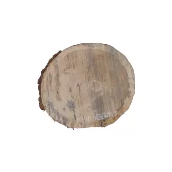 Plaster Dębowy 45x41x6cm Dąb