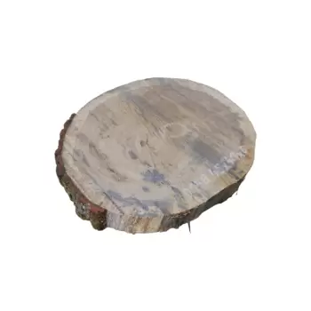 Plaster Dębowy 45x41x6cm Dąb