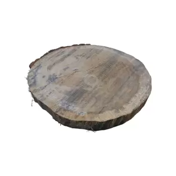 Plaster Dębowy 45x41x6cm Dąb