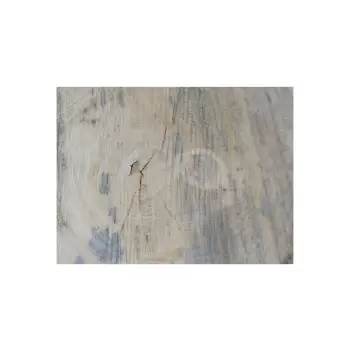 Plaster Dębowy 45x41x6cm Dąb