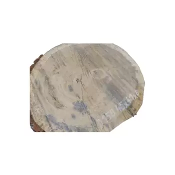 Plaster Dębowy 45x41x6cm Dąb