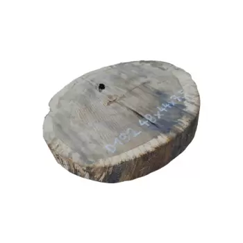 Plaster Dębowy 48x44x7,5cm Dąb