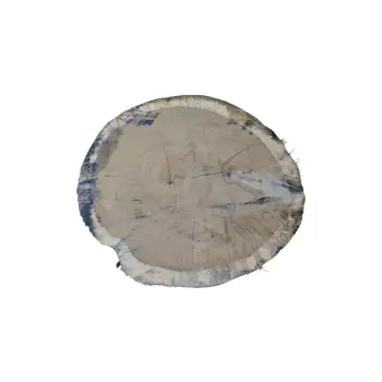 Plaster Dębowy 48x44x7,5cm Dąb