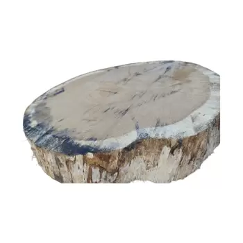 Plaster Dębowy 48x44x7,5cm Dąb