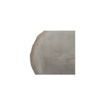 Plaster Dębowy 66x60x8cm Dąb
