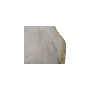 Plaster Dębowy 66x60x8cm Dąb