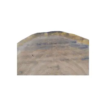 Plaster Dębowy 75x68x9cm Dąb
