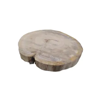Plaster Dębowy 75x68x9cm Dąb