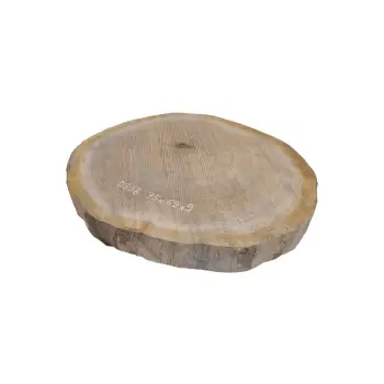 Plaster Dębowy 75x69x9cm Dąb