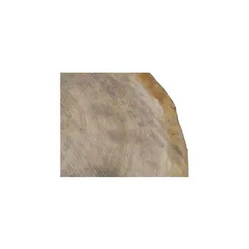 Plaster Dębowy 75x69x9cm Dąb
