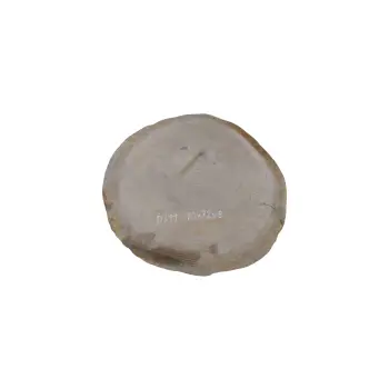 Plaster Dębowy 70x72x8cm Dąb