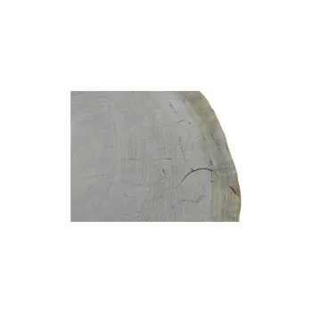 Plaster Dębowy 70x72x8cm Dąb