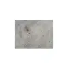 Plaster Dębowy 73x70x8cm Dąb