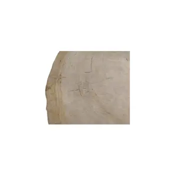 Plaster Dębowy 73x70x8cm Dąb
