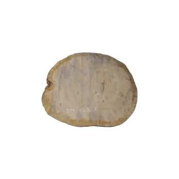 Plaster Dębowy 63x56x7cm Dąb
