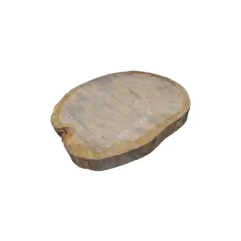 Plaster Dębowy 63x56x7cm Dąb