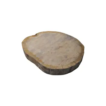 Plaster Dębowy 63x56x7cm Dąb