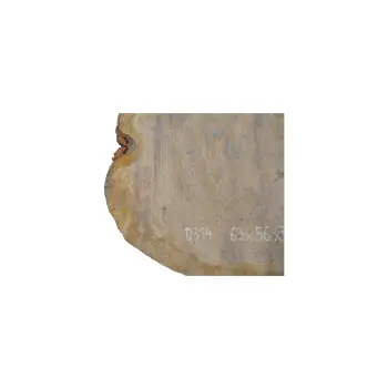 Plaster Dębowy 63x56x7cm Dąb