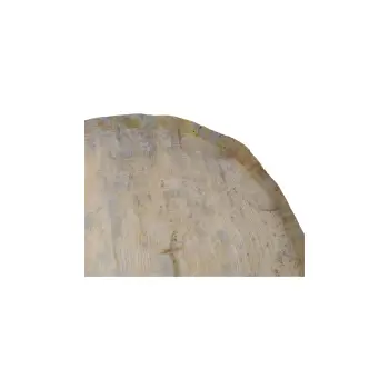 Plaster Dębowy 63x56x7cm Dąb