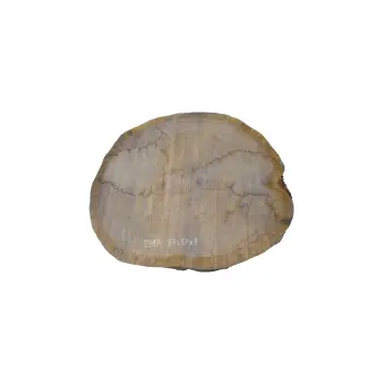 Plaster Dębowy 64x57x8cm Dąb