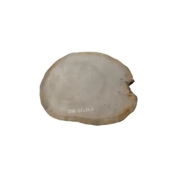 Plaster Dębowy 66x58x8cm Dąb