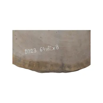 Plaster Dębowy 64x62x8cm Dąb