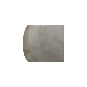 Plaster Dębowy 64x62x8cm Dąb