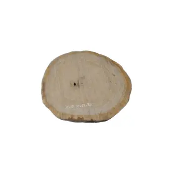 Plaster Dębowy 75x69x7,5cm Dąb