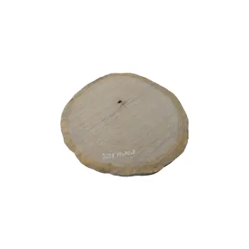 Plaster Dębowy 76x70x9cm Dąb