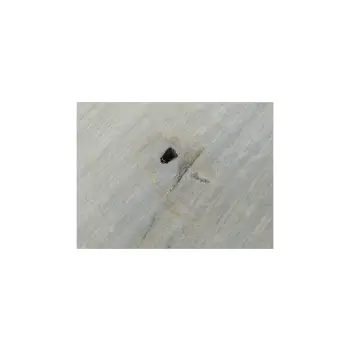 Plaster Dębowy 76x70x9cm Dąb