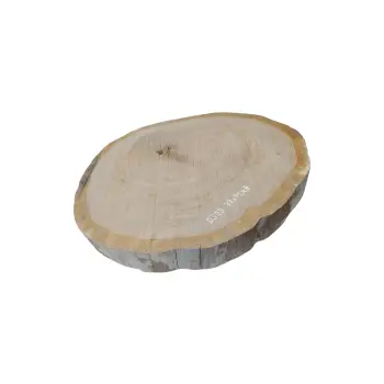 Plaster Dębowy 77x72x9cm Dąb