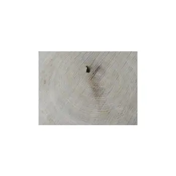 Plaster Dębowy 77x72x9cm Dąb