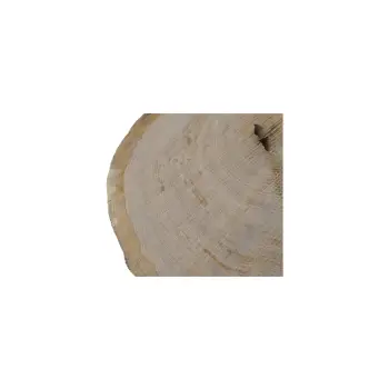 Plaster Dębowy 79x73x9cm Dąb