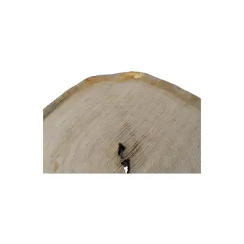 Plaster Dębowy 79x73x9cm Dąb