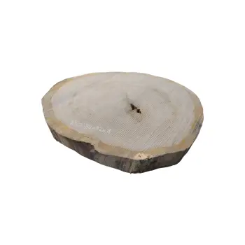 Plaster Dębowy 78x72x9cm Dąb