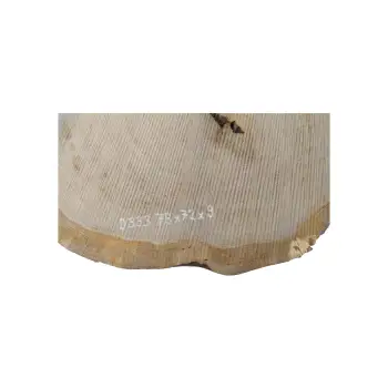 Plaster Dębowy 78x72x9cm Dąb