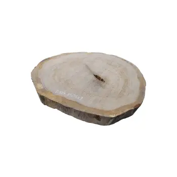 Plaster Dębowy 81x75x9cm Dąb