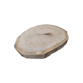 Plaster Dębowy 81x75x9cm Dąb