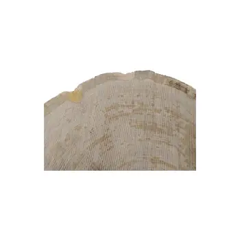 Plaster Dębowy 81x75x9cm Dąb