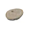 Plaster Dębowy 81x76x9cm Dąb