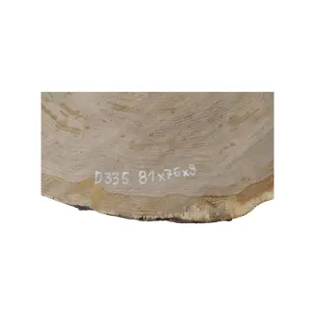 Plaster Dębowy 81x76x9cm Dąb